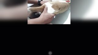 Trai miền nam phá trinh em chó cái p2
