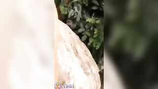 địt gái xinh ngoài trời suýt bị phát hiện