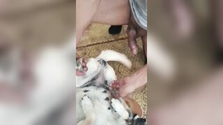 Anh trai cu to đụ em chó