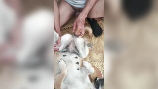 Anh trai cu to đụ em chó