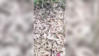 Có tuổi rồi mà vẫn đưa người tình vô rừng chơi