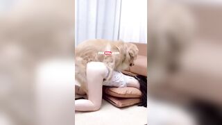 Cô tiểu thư xinh đẹp yêu động vật và chú chó may mắn nhất mọi thời đại được dí chủ