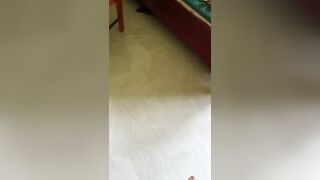 Lén vào phòng ngủ cô giáo sục cặc