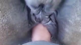 Cận cảnh địt lồn Ngựa múp