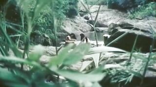 Tắm tiên - TƯ LIỆU CỔ