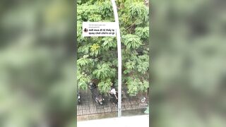 Thanh niên bóp vú bé gái ngay ngoài đường p2