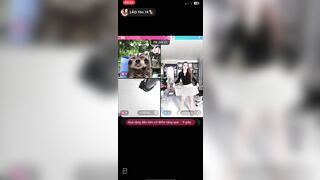 Trả kèo tiktok 8
