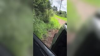 Dân em học sinh mới lớn lên đồi cho bú cặc ngon lành móc cái lồn non