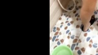 Lén vào Phòng con bạn 2ka7 Đi Tắm, Vạch lồn Quay Video bị nó chửi quá trời