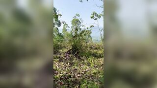 Cùng e gái bú cu public hòa mình giữa rừng xanh