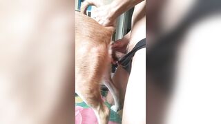 Kiếm nhóm ***