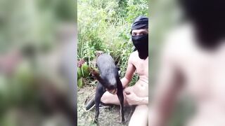 Trái thái đụ chó