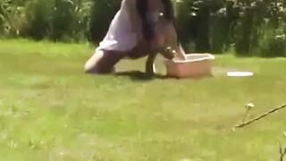 Quay lén, Cô chủ cho chó Bú Lồn Ngoài trời vì thiếu hơi trai