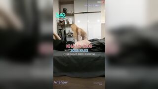 Clip sex Tàu khựa qua Việt Nam chơi gái còn livestream trên SWAG live – Phần 22 (Khả