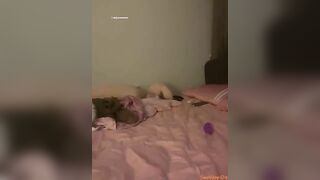 Gắn đuôi cáo