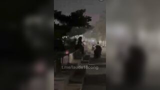 Thằn lằn bám kính là xưa rồi. Bây giờ là cưỡi ngựa đường phố