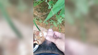 Niềm vui trên núi rừng (dành cho chị em)