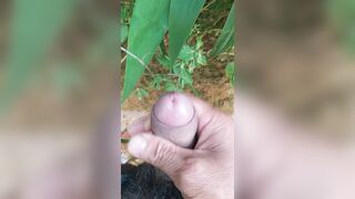 Niềm vui trên núi rừng (dành cho chị em)
