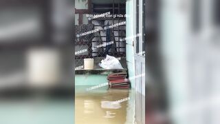 BÊN NGOÀI LŨ LỤC ,BÊN TRONG LÚT CÁN