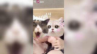 Shock, Như Chu vs Bạn Trai Tiktok Djt cơ Full Mặt Bú Cu hôn nhau