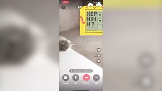 Clip Sex Nìi Nút Đóng Nút Mở Hot Tiktoker Lộ Clip Xxx