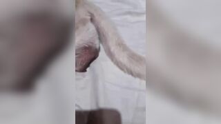 fuck *** khẩu dăm