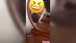 Em sinh viên cuồng dâm gác chân xoè bướm đứng tư thế dâm dục vểnh lồn cho anh địt khẩ