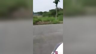 Giữa đường bóp vú gái xinh rồi gạ em vô nhà nghỉ