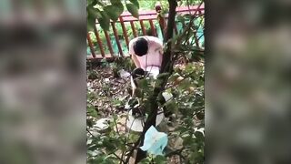 Quay lén người lạ địt nhau ngoài công viên