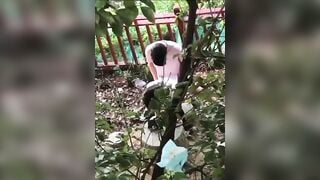 Quay lén người lạ địt nhau ngoài công viên