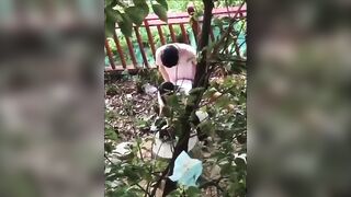 Quay lén mấy em học sinh ra công viên địt nhau dâm đãng