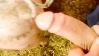 Đụ lút cán bắn tinh vào trong 2