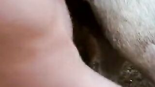 Đụ lút cán bắn tinh vào trong
