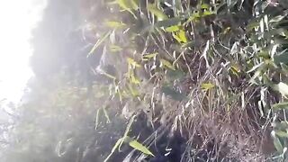 Em gái dâm bú to ra rừng khoe hàng thủ dâm kiếm tiền