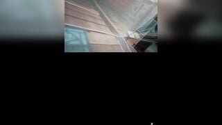 Ai cu nhỏ , chưa lông ib tui