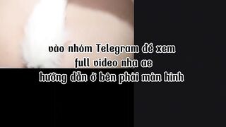Đuôi cáo cute lồn non