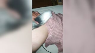 Doggy em người yêu gắn đuôi vào lỗ đít
