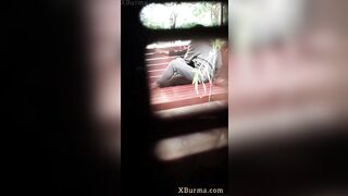 Quay lén 2 em học sinh sinh viên hàng ngon địt nhau dâm đãng ở công viên