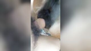fuck. bò cái