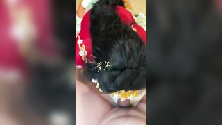 Địt em dâu vú to lồn hồng lắm lông nứng lồn thèm cặc dâm đãng kích thích