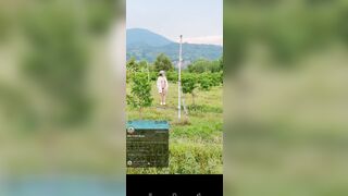 Public chụp ảnh ở vườn xoài 2