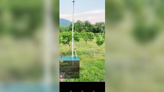 Public chụp ảnh ở vườn xoài 2