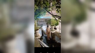 Nữa đêm bắt e ra ngoài public