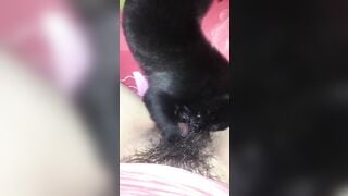 Nứng lồn quá nên cho em cún cưng bé lồn giải tỏa