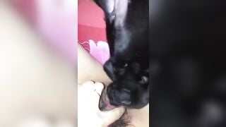 Nứng lồn quá nên cho em cún cưng bé lồn giải tỏa