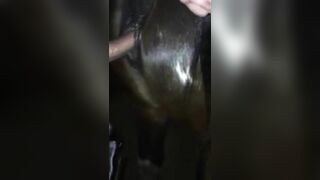 Cặc như này chỉ có lồn Ngựa mới thỏa mãn nổi