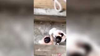 Tổng hợp những video đeo quay lén học sinh chịch nhau ở trường