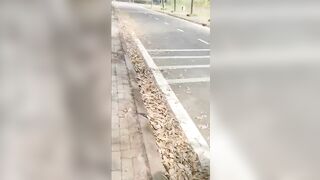 Địt nhau từ ngoài đường về tới nhà vẫn địt