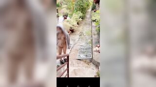 Public cùng em mie ở quán nước 2