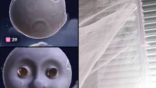 Tóp tóp giờ chỉ khác mỗi cái tên